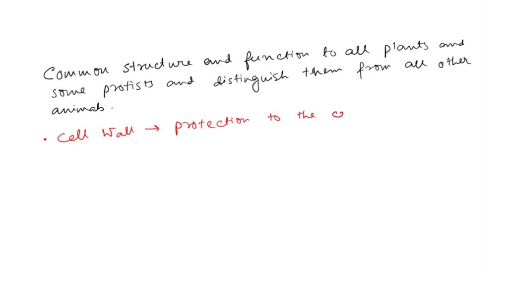 Solved: Which Structure And Function Are Common To All Plants And Some 