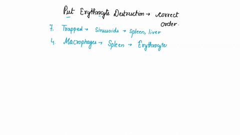 put-erythrocyte-destruction-in-the-correct-order-1-bilverdin-is-broken-down-into-bilirubin-which-enters-the-blood-and-travels-to-the-liver-2-bilirubin-can-also-enter-the-blood-and-g0-to-the-80916