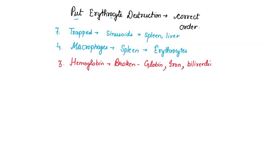SOLVED Rank from the first to the last steps to describe the correct