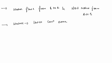 container-a-has-a-2-nacl-salt-solution-and-container-b-has-a-10-nacl-salt-solution-the-two-containers-are-separated-by-a-semipermeable-osmotic-membrane-what-will-happen-a-water-flows-from-a-94925