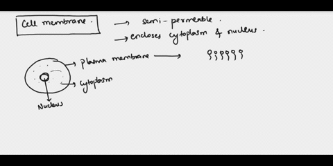 the-cytoplasm-and-nucleus-are-enclosed-within-the-83674