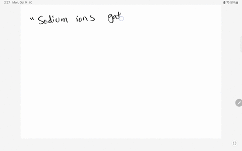 why-is-the-outside-of-a-neuron-positively-charged-multiple-choice-because-sodium-ions-gather-around-the-outside-of-the-cell-membrane-because-calcium-ions-gather-around-the-outside-of-the-cell-membrane