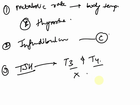a-somatotropin-19-the-hormone-that-plays-a-pivotal-role-in-setting-the-metabolic-rate-and-thus-impacting-body-temperature-is-bthyroxine-ccalcitonin-d-parathyroid-hormone-eglucagon-aampulla-2-79727
