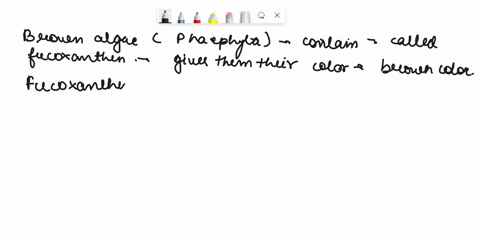 brown-algae-appear-brown-due-to-the-pigment-a-fucoxanthin-b-phycoerythrin-chlorophyll-a-d-chlorophyll-b-e-chlorophyll-c-88958