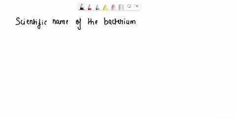 alonliehulid-staphvlococcus-aureus-underline-genus-and-species-names-separatelv-remember-to-capitalize-the-first-letter-of-the-genus-and-lowercase-the-first-letter-of-the-species-staphylococ-61495