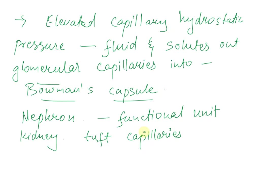 SOLVED The elevated capillary hydrostatic pressure forces fluid and