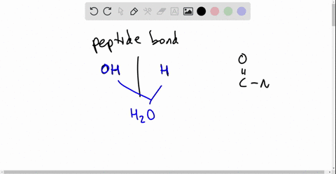 carbon-hydrogen-and-oxygen-from-sugar-molecules-may-combine-with-other-elements-to-form-other-biomolecules-the-picture-above-shows-an-example-of-this-examine-the-model-and-choose-all-of-the-51484