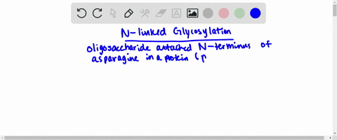 which-of-the-following-occur-with-n-linked-glycosylation-a-the-carbohydrate-is-attached-to-a-lipid-to-form-a-glycolipid-b-the-carbohydrate-is-attached-to-the-amino-acid-alanine-c-a-preformed-92218