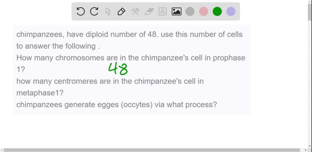 SOLVED: Chimpanzees have a diploid number of 48. Use this number of