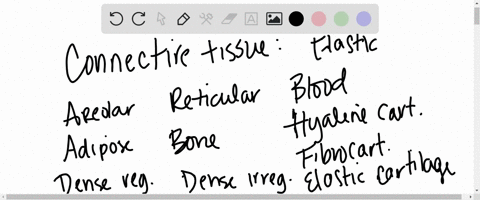 write-the-name-of-the-connective-tissue-type-that-matches-each-description-a-connective-tissue-can-be-used-more-than-once-______________________-1-contains-elastic-fibers-and-is-found-in-the-94042