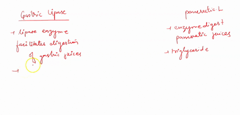 what-is-the-difference-between-gastric-lipase-and-pancreatic-lipase-cite-your-sources-34789