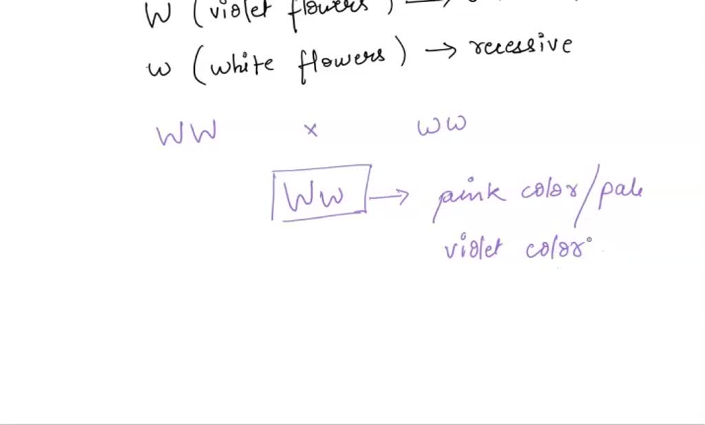 SOLVED A For A Particular Species Of Plants The Purple Flower Color 
