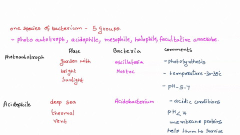 name-one-place-on-this-earth-where-you-might-find-one-species-of-bacterium-that-can-be-categorized-to-all-of-the-5-groupsphotoautotroph-acidophile-mesophile-halophile-facultative-anaerobe-no-56666