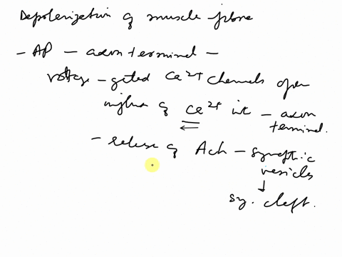23-describe-the-events-that-lead-to-depolarization-of-the-muscle-fiber-starting_with-aps-urriving-atthe_exq-terminals-of-the-motor-neuron-88032