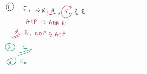 1-the-f1-subunit-of-the-atp-synthase-transports-protons-across-the-membrane-b-interacts-directly-with-and-is-inhibited-by-oligomycin-c-is-a-cytosolic-enzyme-8-br-binds-pi-adp-and-atp-reduced-21914