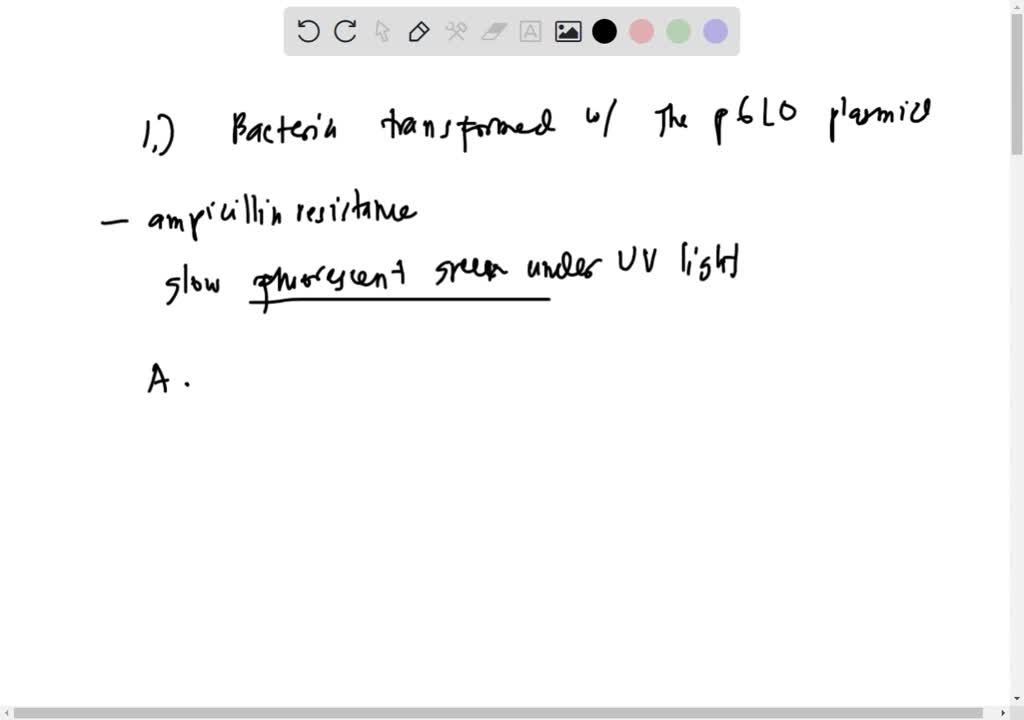What Bacteria Glows Under Black Light Shelly Lighting