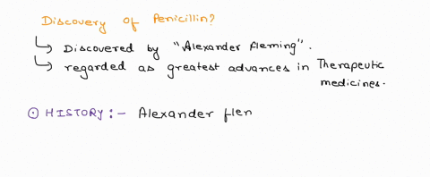 how-did-alexander-fleming-accidentally-stumble-into-the-discovery-of-penicillin-65682