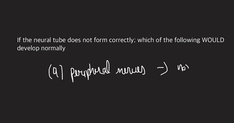 if-the-neural-tube-does-not-form-correctly-which-of-the-following-would-develop-normally-select-all-that-apply-periphoral-nervos-spinal-cord-ventricles-braln-next-no-new-data-t0-save-last-ch-04064
