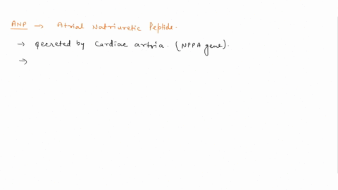 question-41-2-points-which-of-the-following-is-attributable-to-atrial-natriuretic-peptide-anp-anp-is-released-when-blood-pressure-is-reduced-anp-stimulates-sodium-reabsorption-in-the-distal-64458