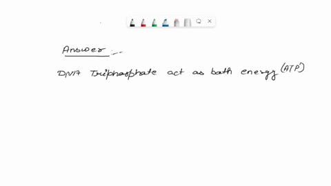 question-8-2-points-dna-replication-understandably-requires-deoxyribonucleoside-triphosphates-however-it-also-reguires-ribonucleoside-triphosphateswhy-more-than-one-answer-is-correctyou-will-30004