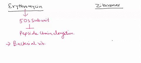 35-explain-why-antibiotics-such-as-erythromycin-and-zithromax-that-bind-the-large-ribosomal-subunit-do-not-harm-us-23862