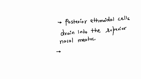 concerning-the-ethmoidal-sinuses-choose-the-correct-answer-a-part-of-the-ethmoidal-air-cells-are-found-in-the-perpendicular-plate-b-the-middle-ethmoidal-cells-drain-in-the-frontonasal-duct-c-it-is-inn