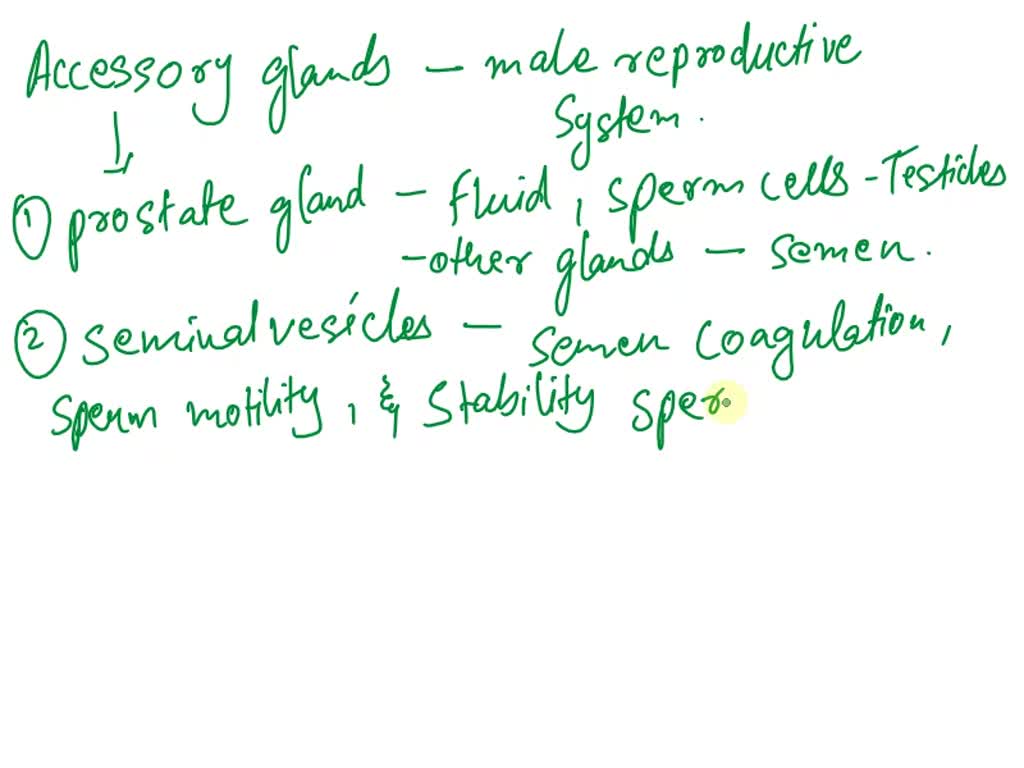 SOLVED Semen (also called seminal fluid) is the mixture of sperm and