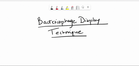 what-is-bacteriophage-display-phage-display-47087