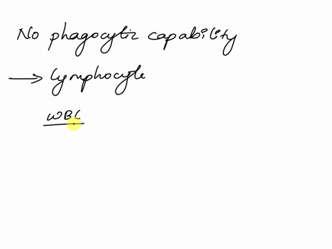 1-pts-incorrect-question-4-which-of-the-following-leukocytes-has-no-phagocytic-capabilities-neutrophil-monocyte-lymphocyte-macrophage-38953