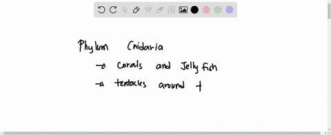 qucaticn-24-aotnnl-animals-in-phylum-cnidaria-are-characterized-by-all-of-the-following-excap-sclect-onc-inc-mostly-on-iand-tentacio-hat-surfound-the-moulh-region-eessil0-polyd-body-plin-al-92829
