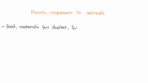 why-are-plants-important-to-animals-essay-36082