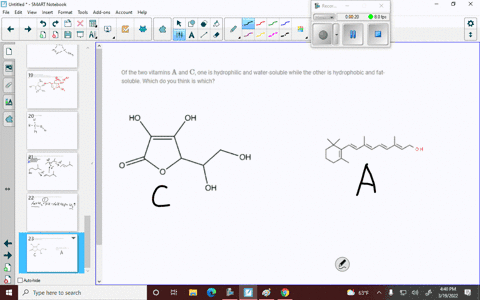 of-the-two-vitamins-mathrma-and-mathrmc-one-is-hydrophilic-and-water-soluble-while-the-other-is-hydr-81258