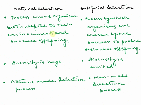 what-is-artificial-selection-how-is-it-different-from-natural-selection-76695