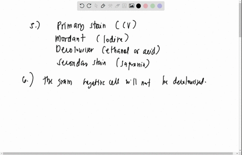 what-are-the-four-reagents-used-for-gram-staining-in-the-correct-order-of-use-2-pts-6-what-would-happen-to-the-stain-if-you-forgot-to-rinse-the-slide-with-alcohol-with-gram-negative-culture-45436