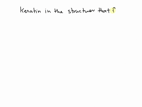 which-of-the-following-animals-have-keratin-in-the-structures-that-form-their-outer-covering-a-cartilaginous-fish-b-amphibians-reptiles-d-all-of-the-above-77177
