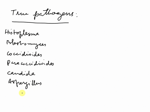question-3-identify-primary-true-pathogens-from-the-list-below-histoplasma-blastomyces-coccidioides-paracoccidioides-candida-aspergillus-cryptococcus-pneumocystis-21024