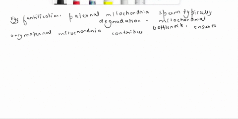 the-fate-of-paternal-mitochondria-mitochondria-of-the-sperm-following-egg-fertilization-55265