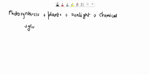 which-process-in-plants-changes-sunlight-energy-into-chemical-energy-by-making-glucose-a-respiration-b-photosynthesis-c-glycolysis-54193