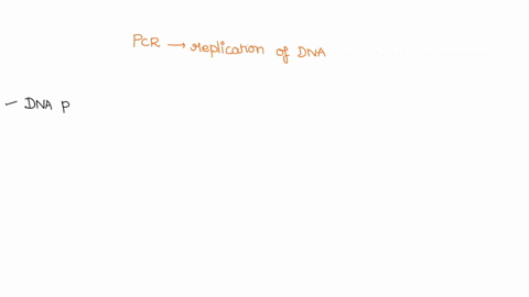 pcr-is-modeled-on-the-replication-of-dna-inside-a-living-organisms-cells-lets-compare-both-processes-to-deepen-your-understanding-of-pcr-click-view-image-to-see-the-comparison-both-pcr-and-i-13783