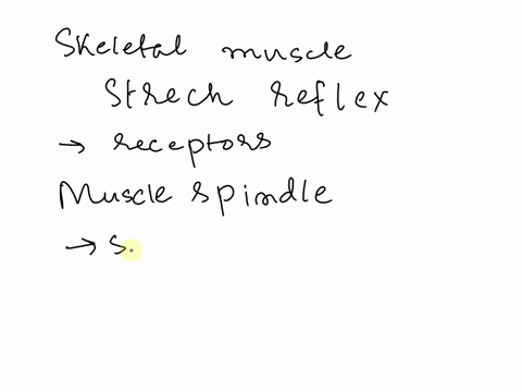 question-14-the-stretch-reflex-in-skeletal-muscle-is-initiated-because-of-nerve-impulses-arising-from-these-receptors-omuscle-spindles-o-golgi-tendon-organs-omechanoreceptors-ojoint-kinesthe-68887