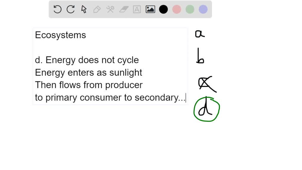 solved-which-statement-about-ecosystems-is-false-chemical-nutrients