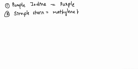 question-7-answer-with-one-of-the-following-letter-choices-what-color-is-the-grams-iodine-reagent-blue-the-simple-stain-we-used-in-lab-colors-all-bacteria-purple-gram-negative-bacteria-stain-71708