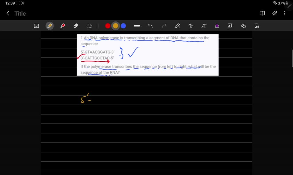 SOLVED: 1.An RNA polymerase is transcribing a segment of DNA that ...