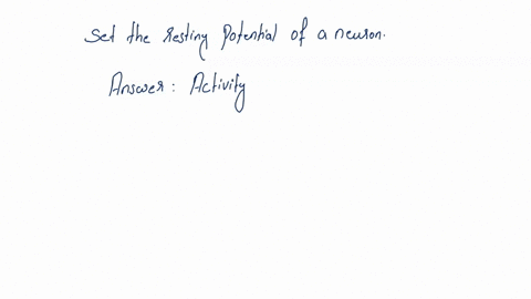 question-14-2-points-which-of-the-following-help-to-set-the-resting-potential-of-a-neuron-select-all-that-apply-the-permeability-of-the-membrane-to-potassium-ions_-the-activity-of-the-sodium-95956