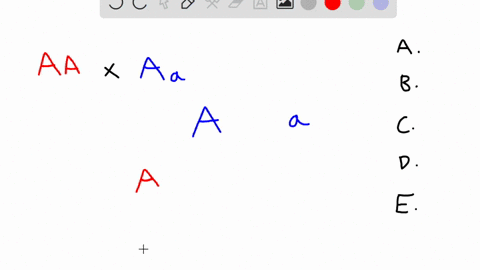 after-a-cross-between-two-individuals-with-genotypes-aa-and-aa-a-all-offspring-are-heterozygous-b-all-offspring-are-homozygous-dominant-aa-c-none-of-the-other-answers-is-correct-d-the-phenotype-ratio-