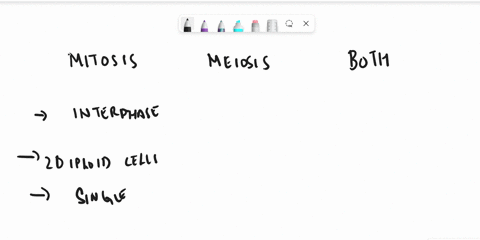 mitosis-meiosis-both-mitosis-and-meiosis-homolagous-pairs-chromosomes-iine-up-on-ine-metaphase-plate-chromosomes-duplicale-during-interphase-homologous-chromosomes-pair-up-andelormt-chiasmal-46799