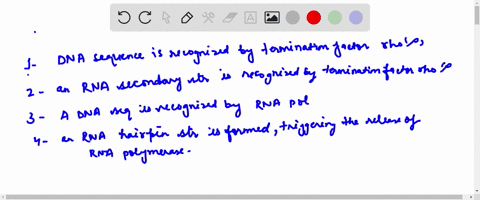 what-best-describes-a-rho-p-independent-termination-of-transcription-dna-sequence-is-recognized-by-the-termination-factor-rho-p-an-rna-secondary-structure-is-recognized-by-the-termination-fa-52779