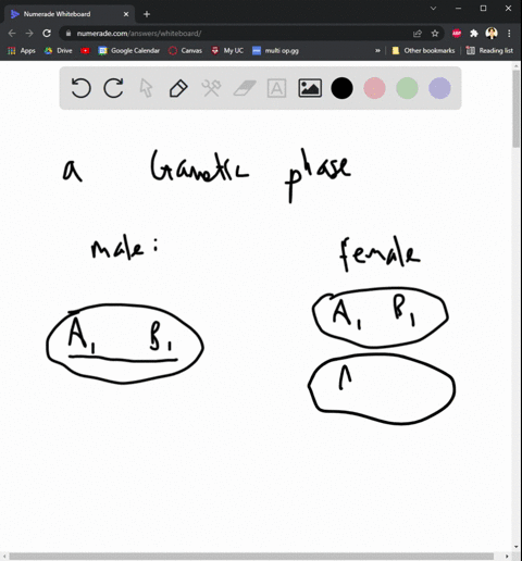 11-you-are-working-on-mapping-a-gene-causing-myotonic-dystrophy-in-drosophila-a-likely-homolog-of-the-gene-causing-the-disease-in-humans-the-disease-phenotype-is-caused-by-a-recessive-mutati-38675