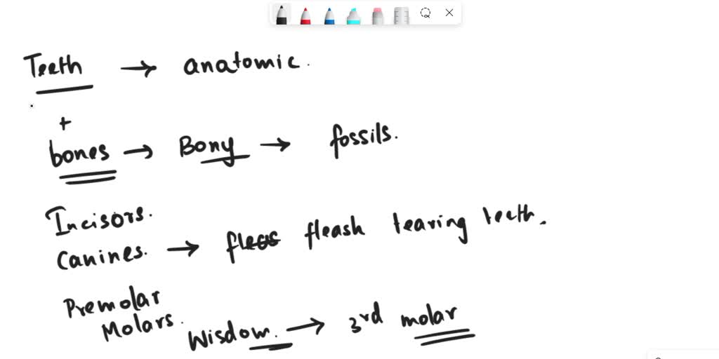 SOLVED: Wisdom teeth are the third and final set of human molars that ...