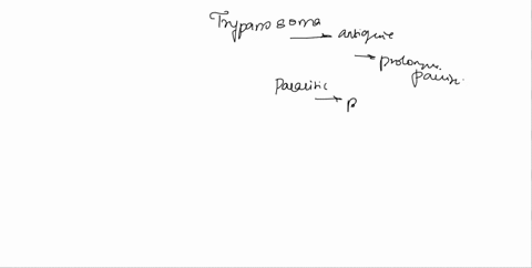 the-reason-why-trypanosomes-like-trypanosoma-brucei-are-successful-invading-into-the-bloodstream-is-due-to-antigenic-variation-of-a-homogeneous-variant-surface-glycoprotein-vsg-coat-however-19045